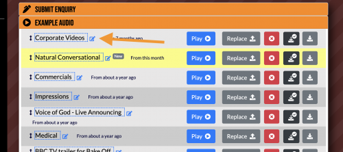 Next, head to your Example Audio section. You'll see a small edit icon next to each demo title.